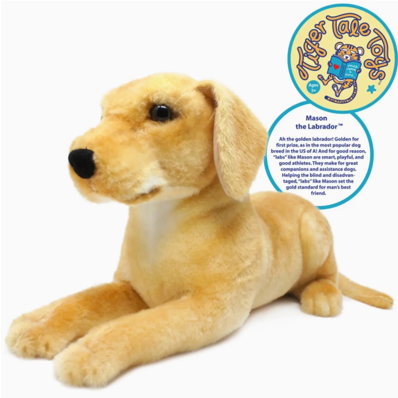 Mason the Labrador