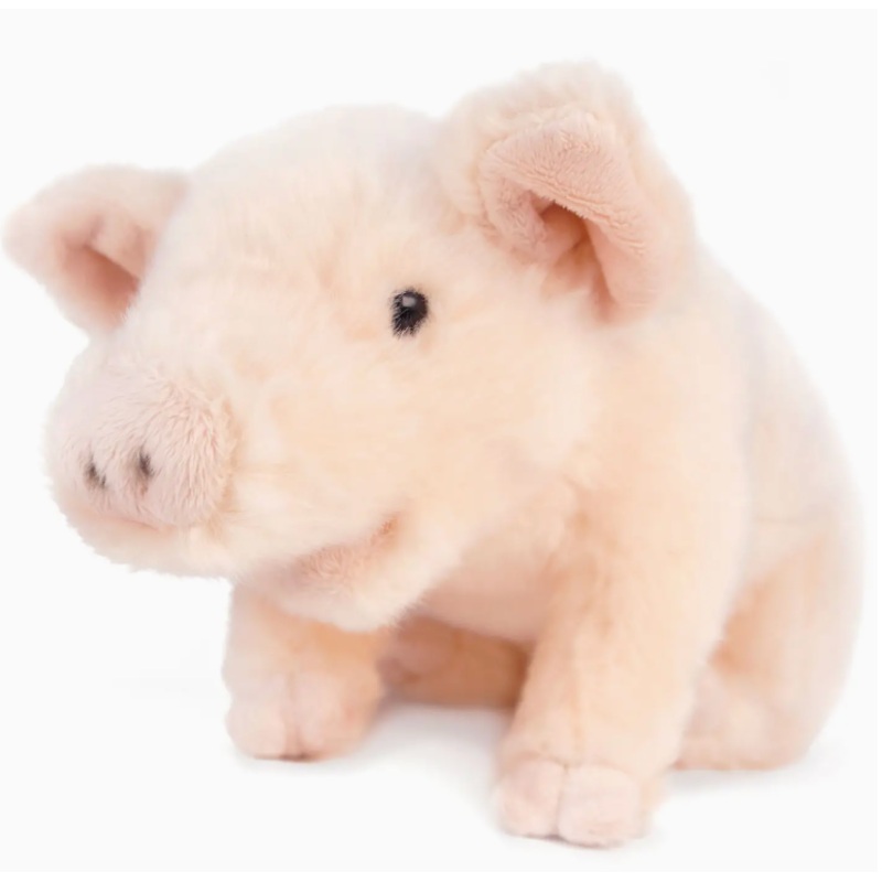 Perla the Pig