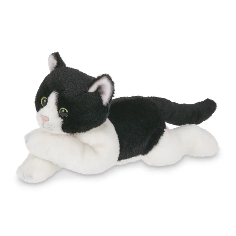 Lil' Domino the Black & White Cat