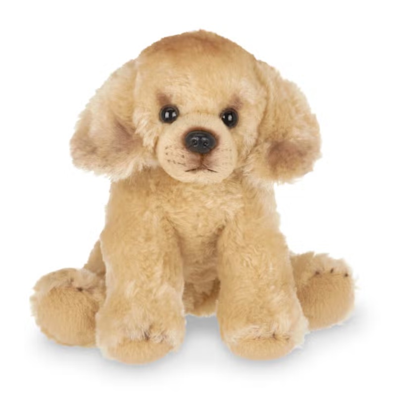 Lil' Goldie the Golden Retriever
