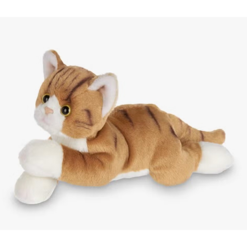 Lil' Tabby the Orange Cat