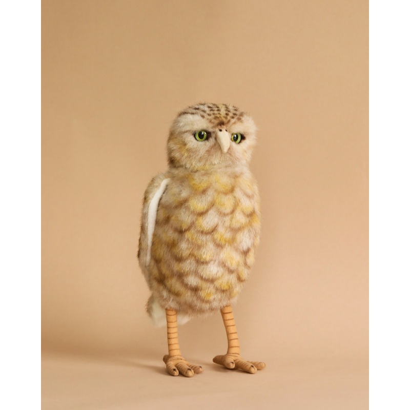 Burrowing Owl Stuffed Animal
