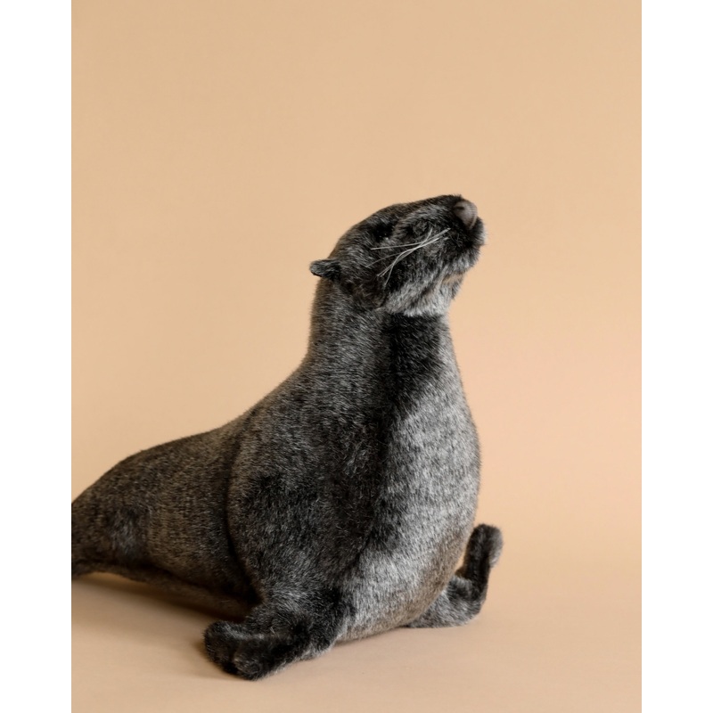 Sea Lion Cub Stuffed Animal