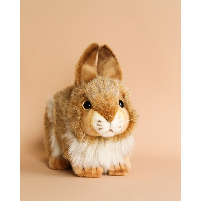 Brown Bunny Stuffed Animal