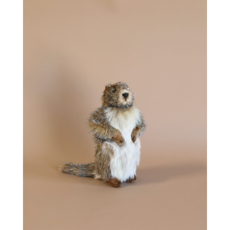 Groundhog Baby Stuffed Animal