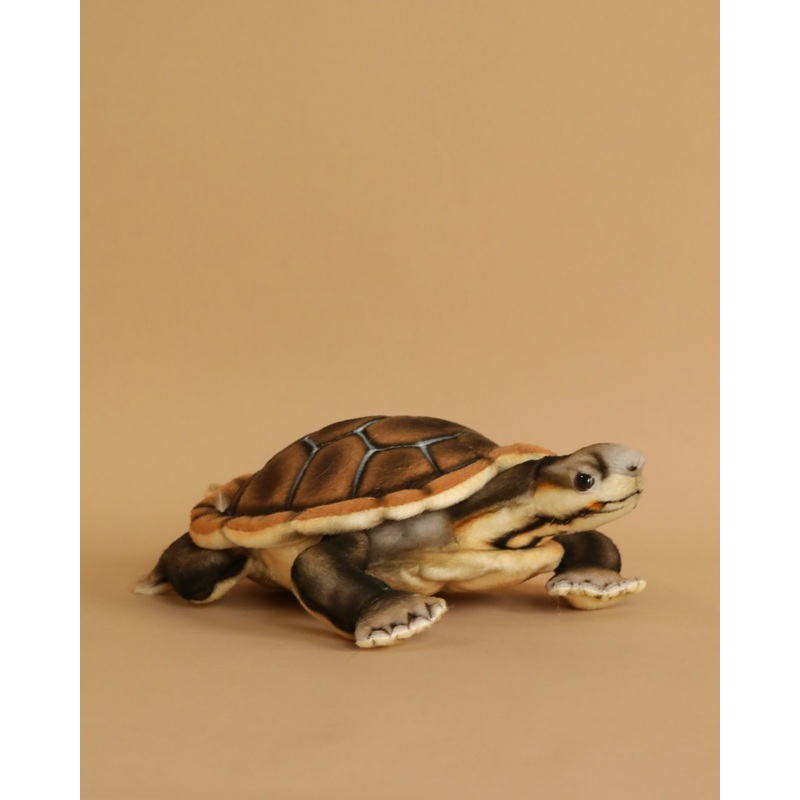 River Turtle Stuffed Animal