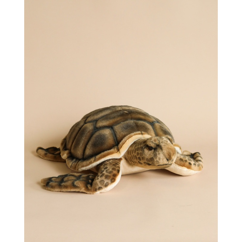 Sea Turtle Stuffed Animal