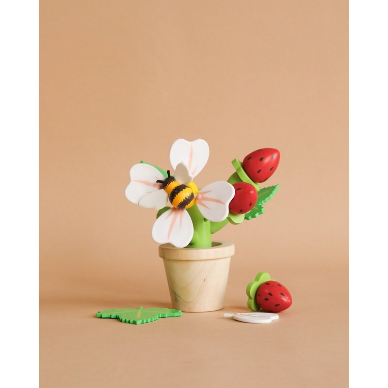 Strawberry Flower Pot