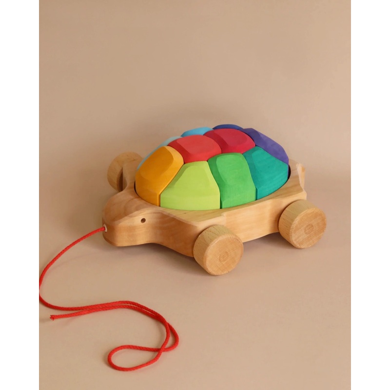 Grimm's Rainbow Turtle Pull-Toy and Building Blocks