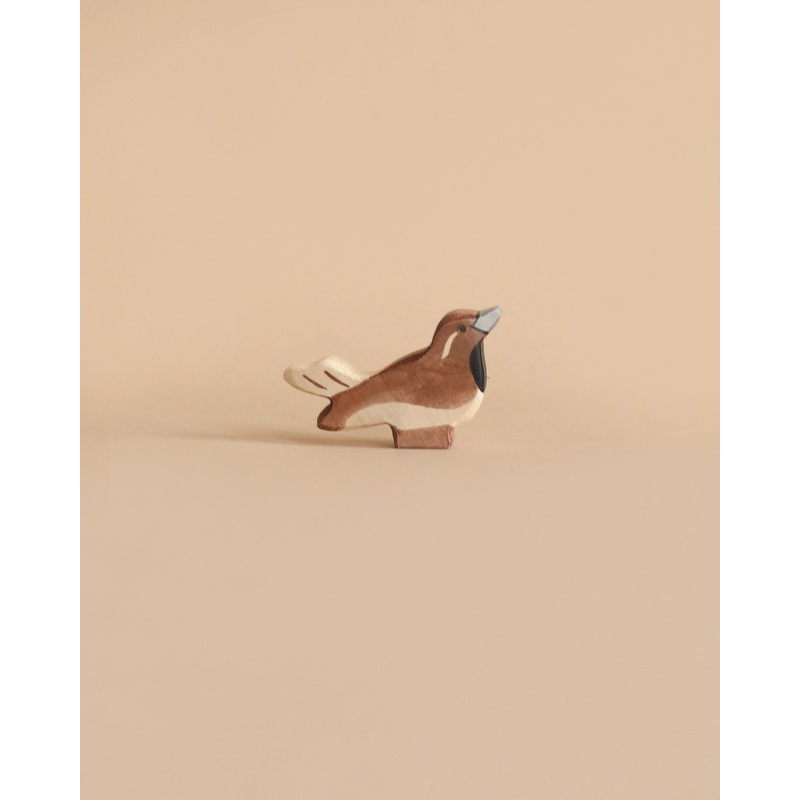 Holztiger Sparrow Bird