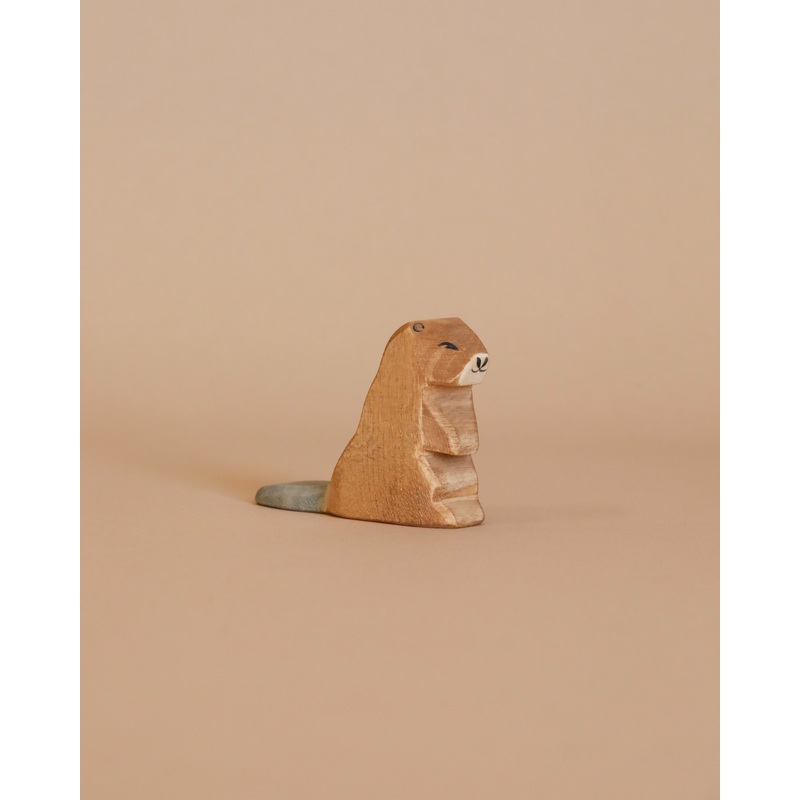 Ostheimer Beaver - Sitting