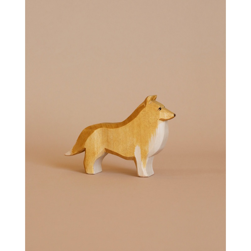 Ostheimer Collie Dog