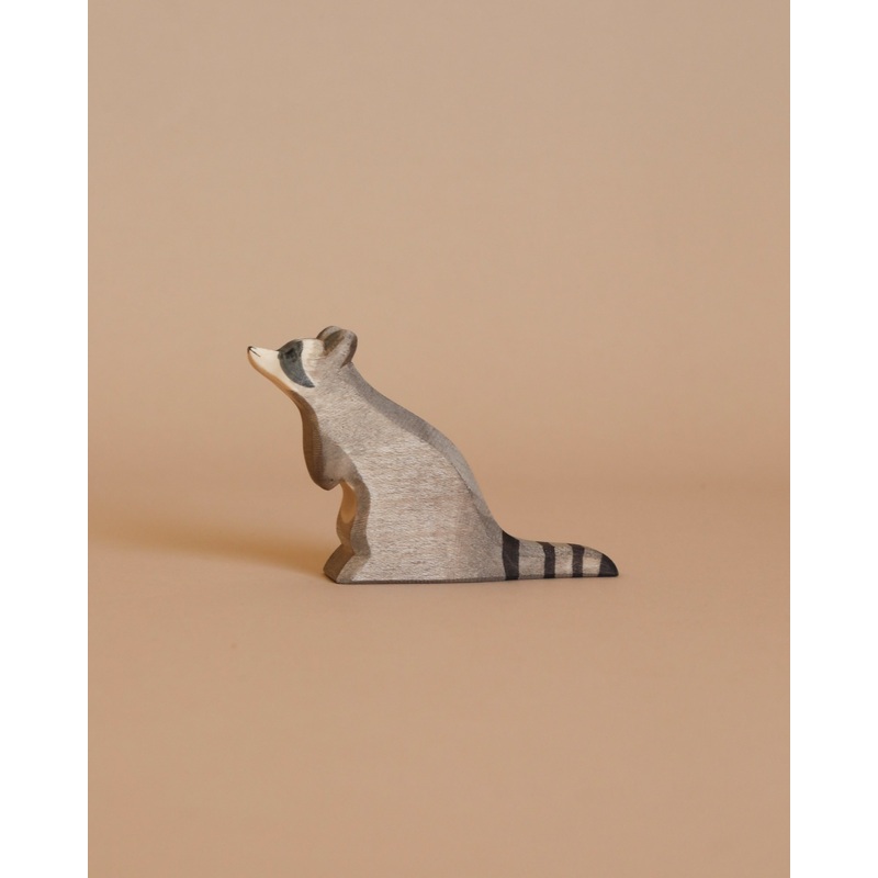Ostheimer Raccoon - Sitting