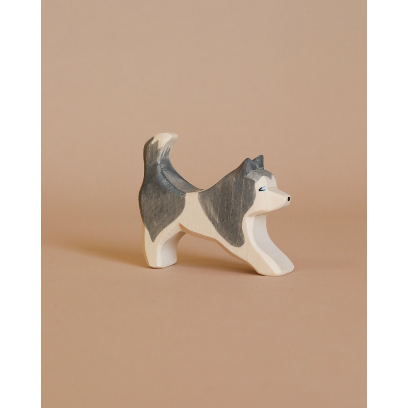 Ostheimer Sled Dog - Running