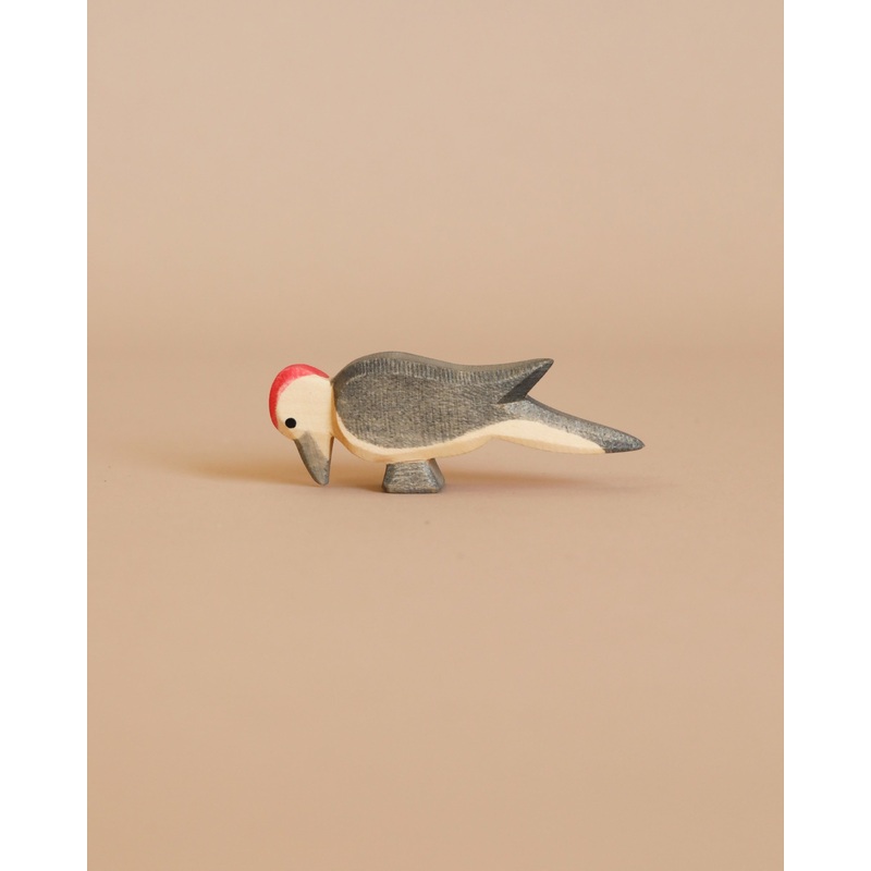Ostheimer Woodpecker