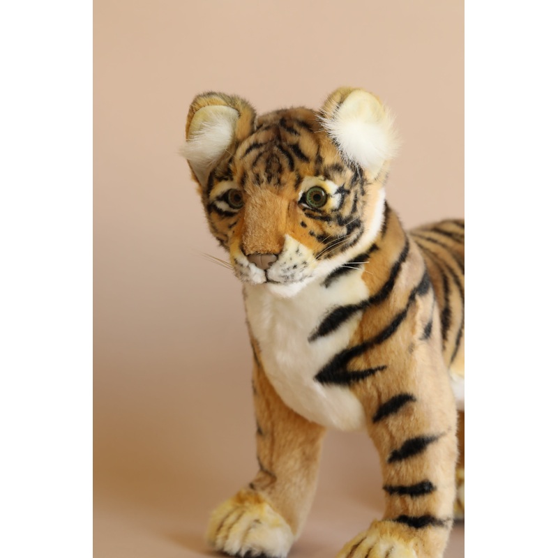Tiger Cub - Standing