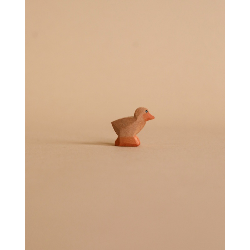 Ostheimer Chick, Brown