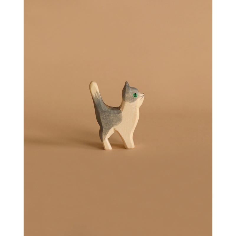 Ostheimer Gray and White Cat, Head Up