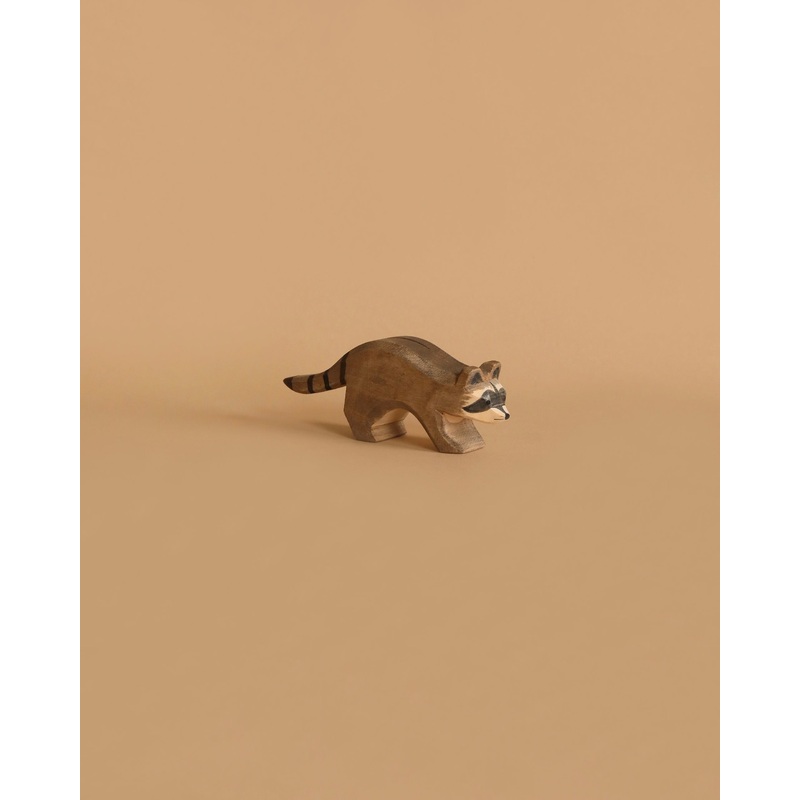 Ostheimer Raccoon Running