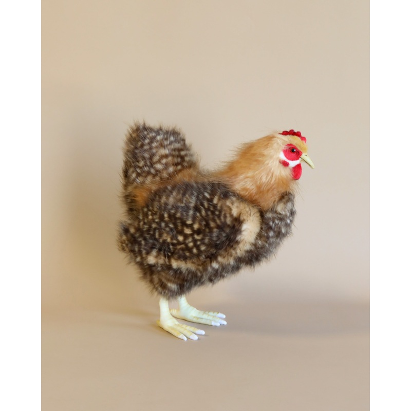 Brown Hen Stuffed Animal