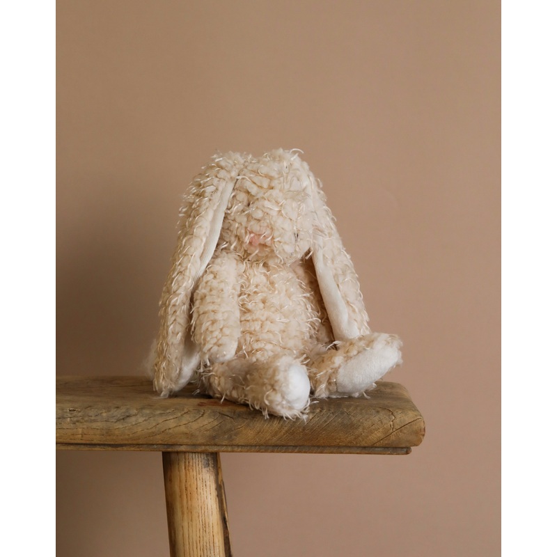 Harey the Bunny