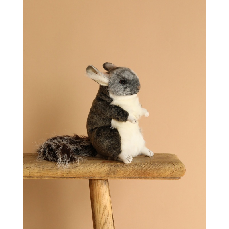 Chinchilla Stuffed Animal