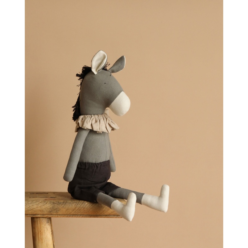 Darwin the Donkey