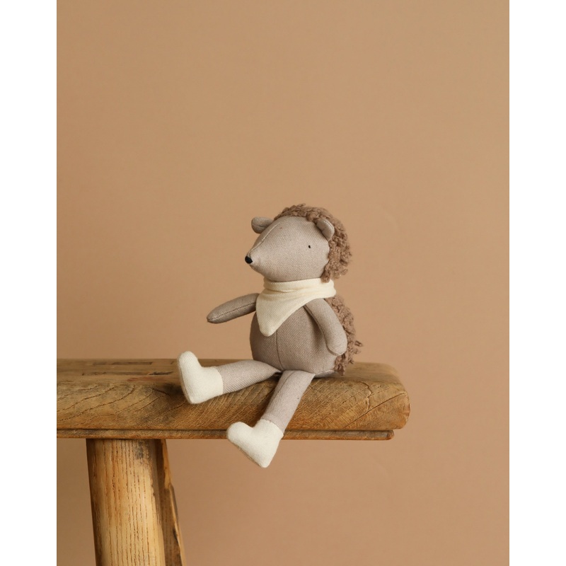 Poppet The Baby Hedgehog