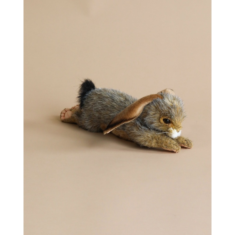 Bunny Floppy Ear Stuffed Animal