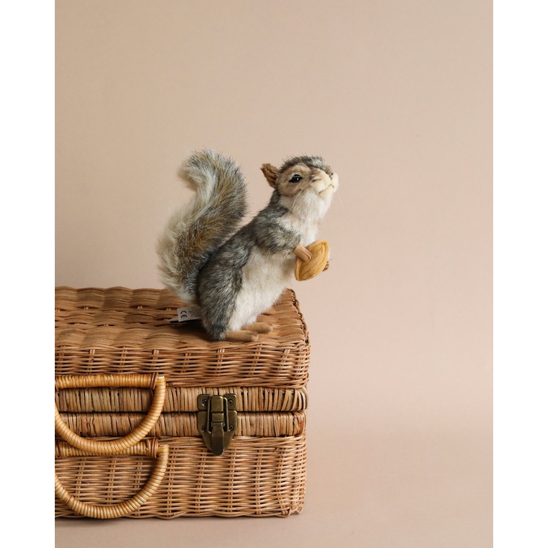 Squirrel With A Nut Stuffed Animal