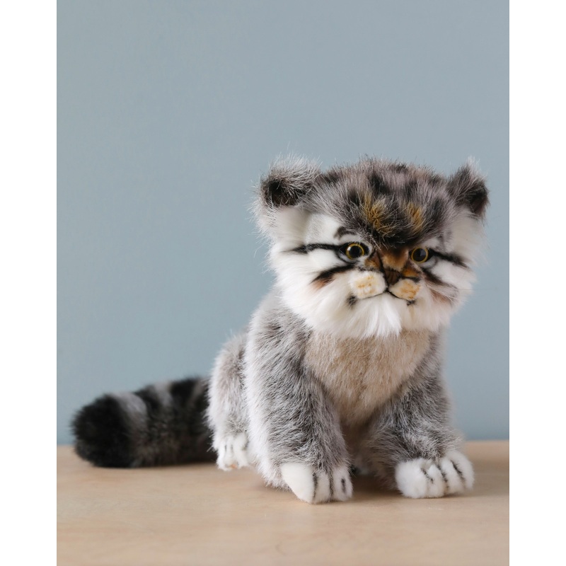 Pallas Kitten Stuffed Animal