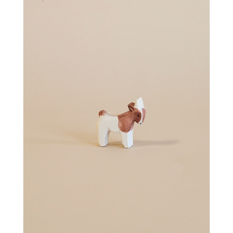 Ostheimer Goat Kid - Standing