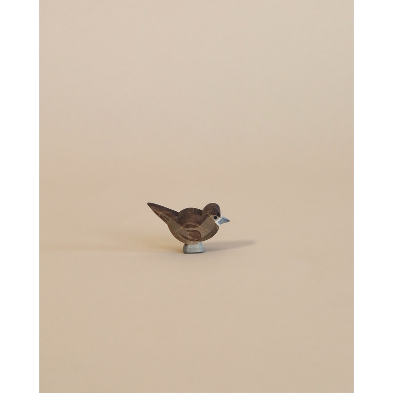 Ostheimer Sparrow