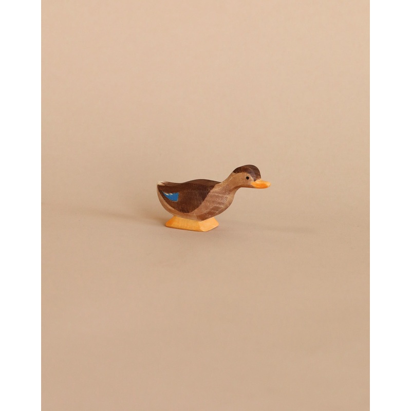 Ostheimer Long Neck Duck