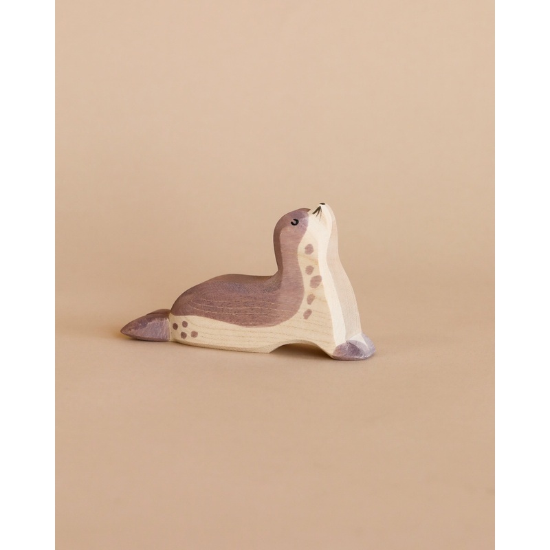 Ostheimer Sea Lion - Head Up