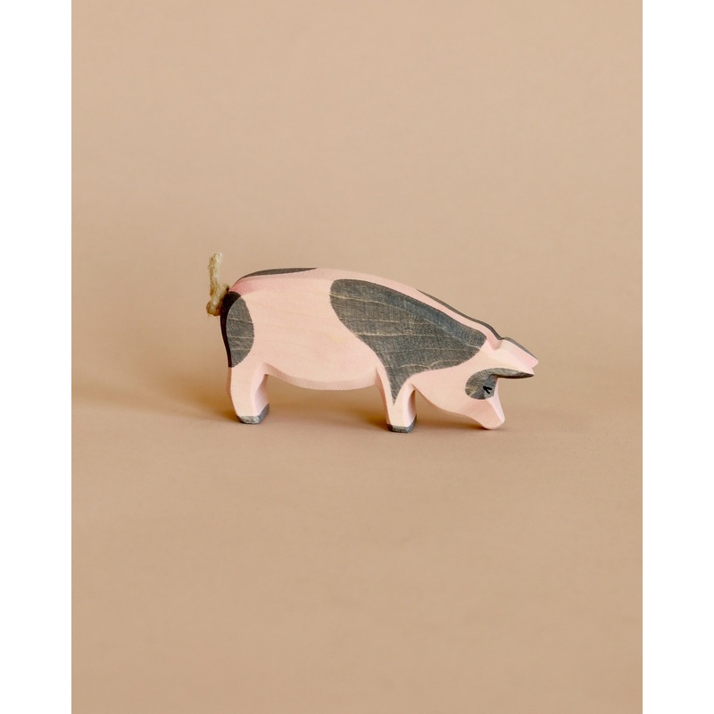 Ostheimer Spotted Pig - Head Low