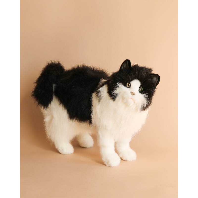 Black & White Cat Stuffed Animal