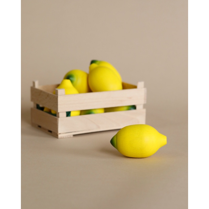 Erzi Lemon Pretend Food