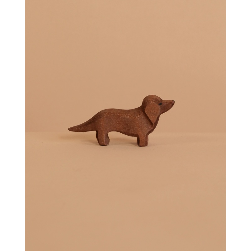 Ostheimer Dachshund Dog