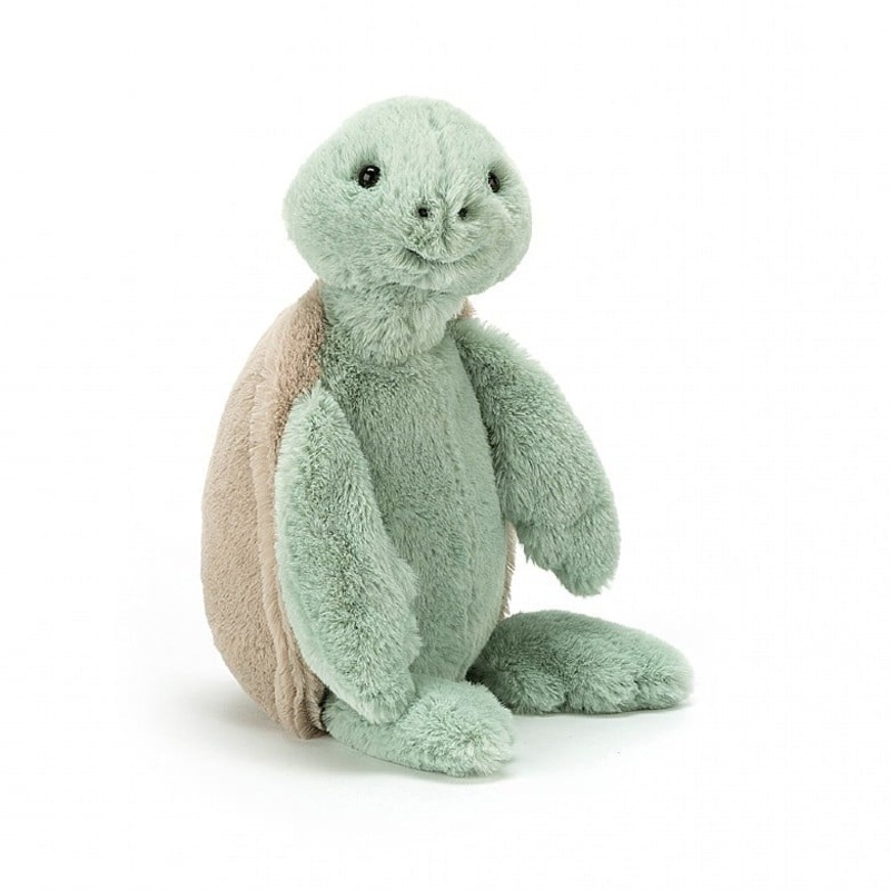 Bashful turtle medium