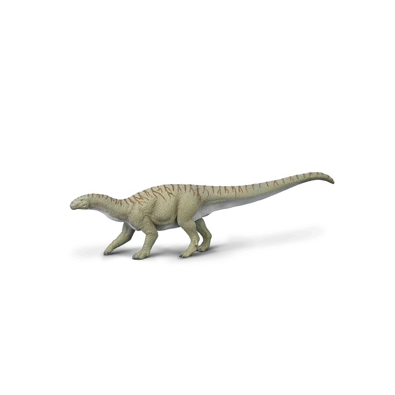 Collecta Ingentia Prima