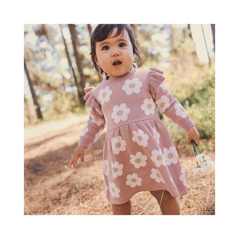 Kynd Baby Jaqcuard Knit Dress - Woodrose