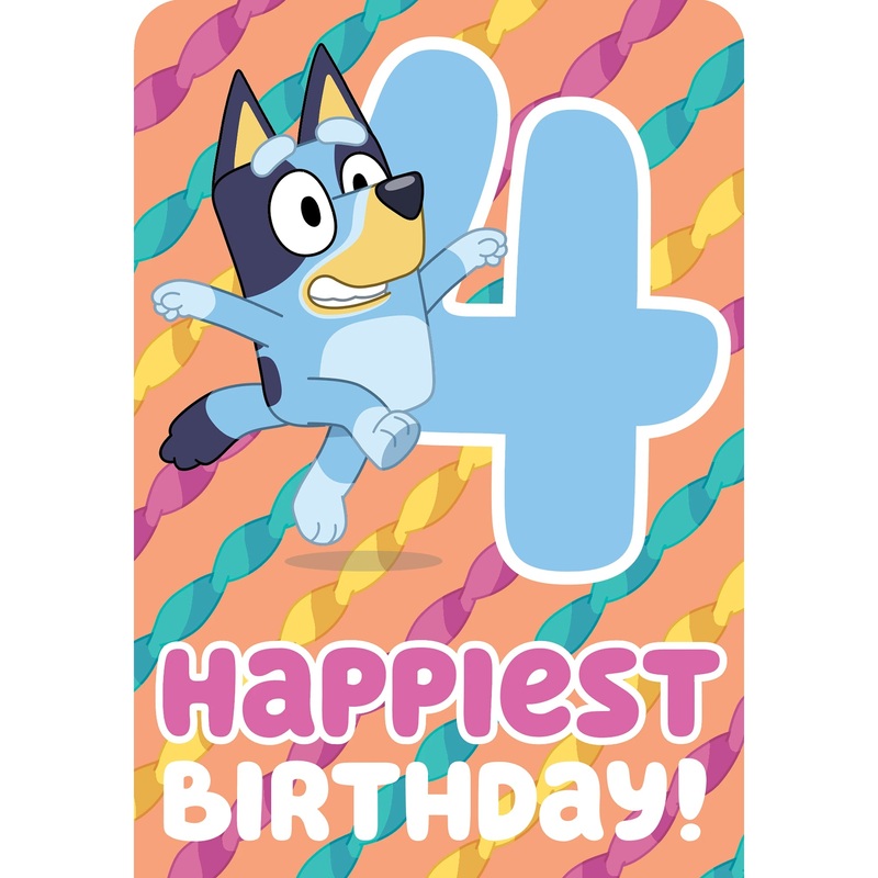 Waterlyn Age 4 Bluey Streamers
