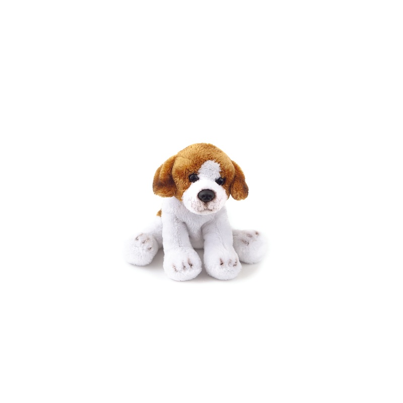 Animal Allsorts Benny Junior Beagle Small