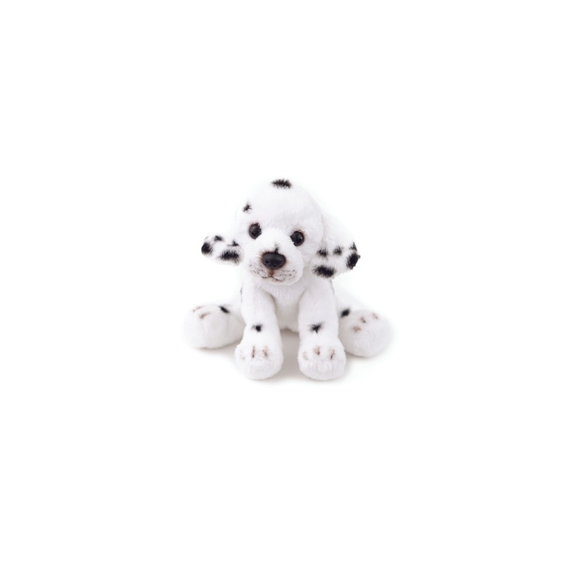 Animal Allsorts Daisy Junior Dalmatian Small