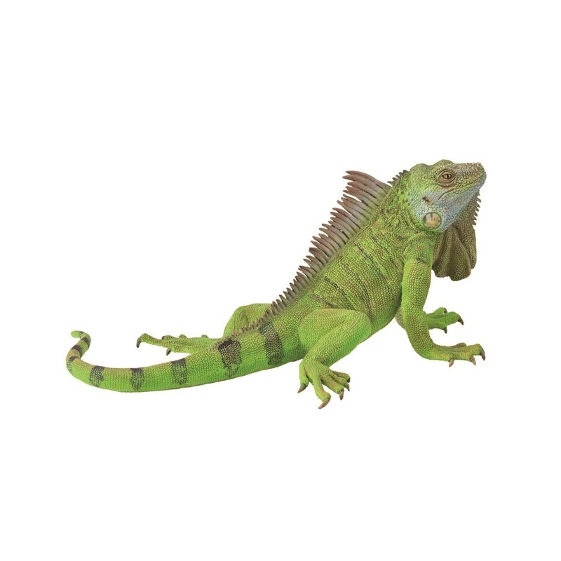 CollectA XL Iguana