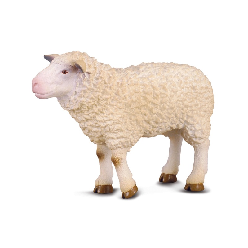 CollectA M Sheep