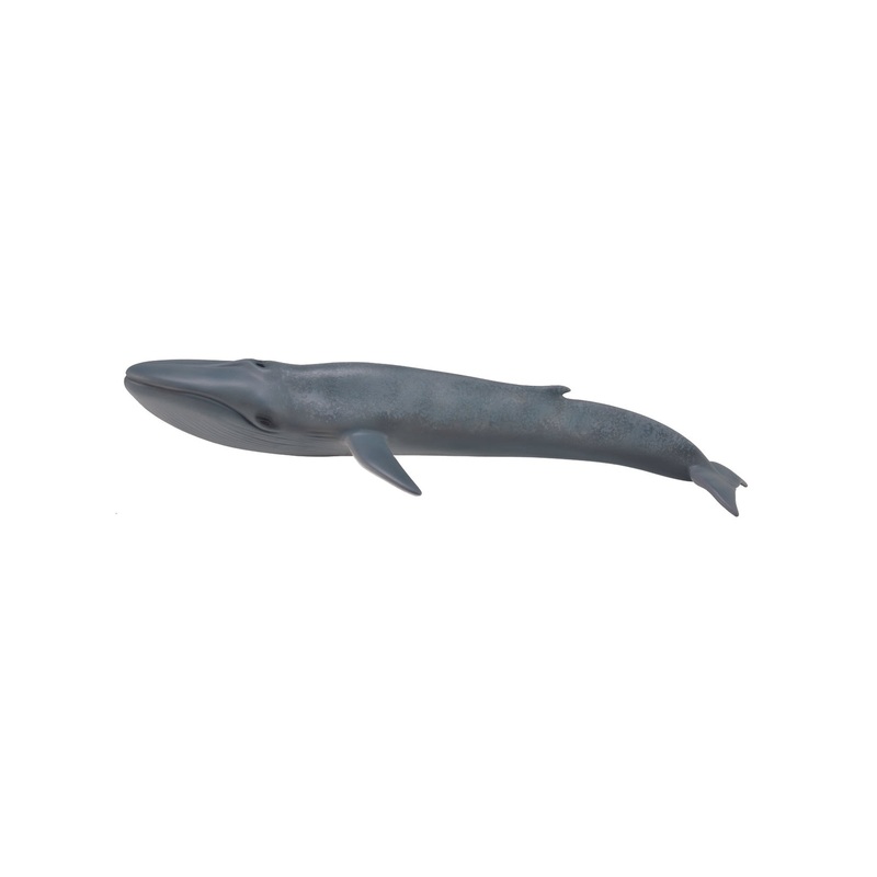 CollectA XL Blue Whale