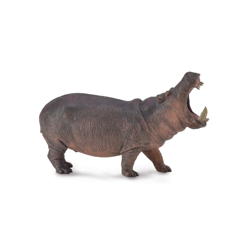 CollectA XL Hippopotamus