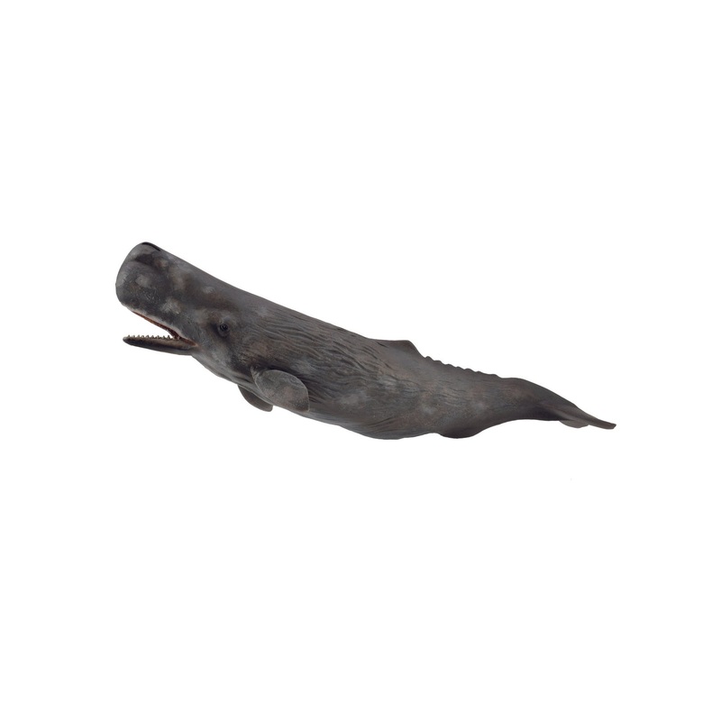 CollectA XL Sperm Whale